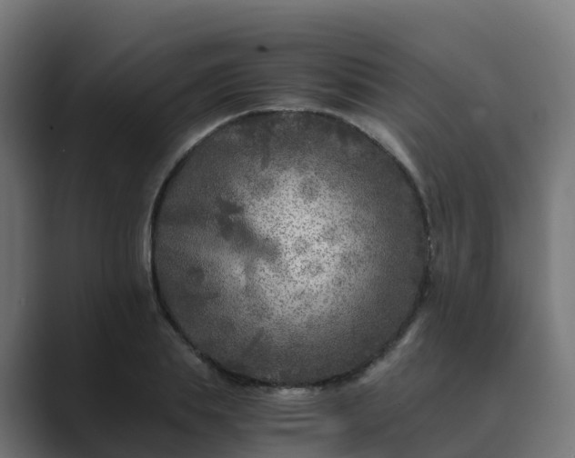 X0000089710839200706281511