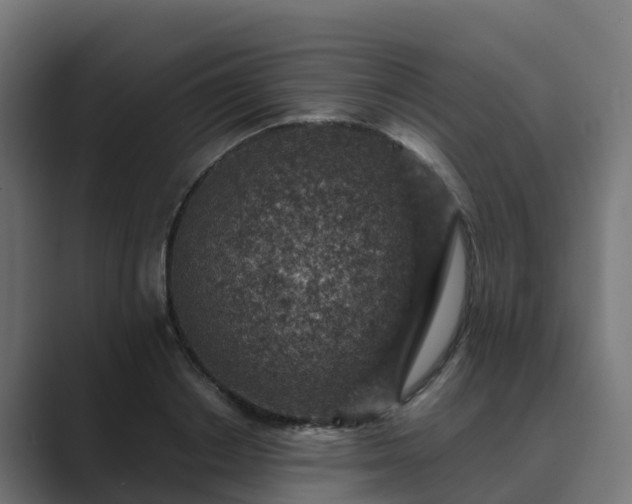 X0000089710842200706281511