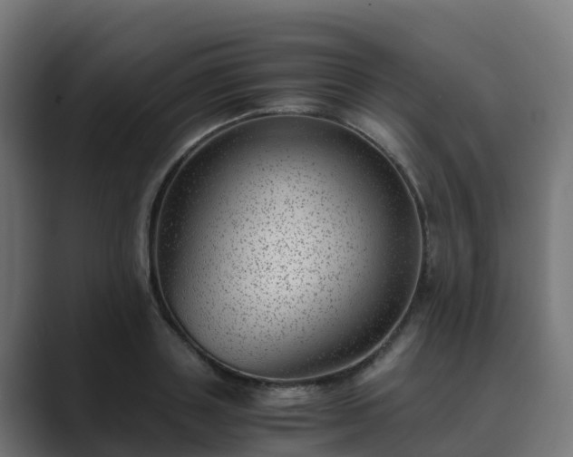 X0000089710843200706281511