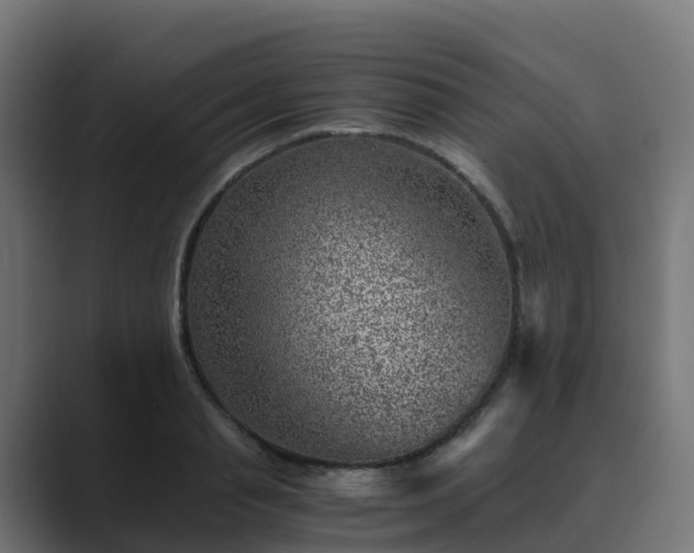 X0000089710845200706281511