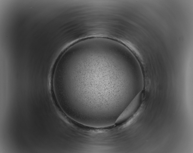 X0000089710846200706281511