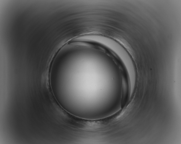 X0000089710850200706281511