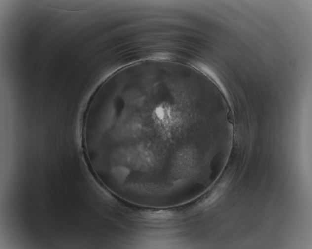 X0000089710851200706281511