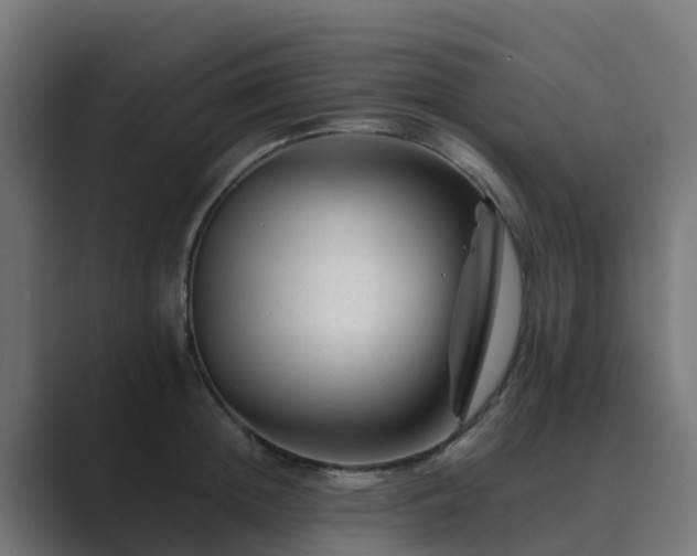 X0000089710852200706281511