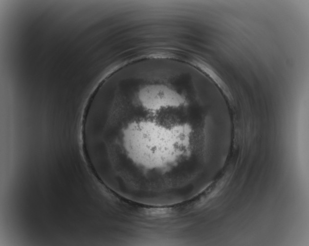 X0000089710853200706281511