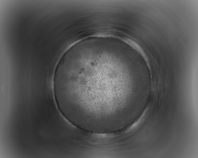 X0000089710855200706281511