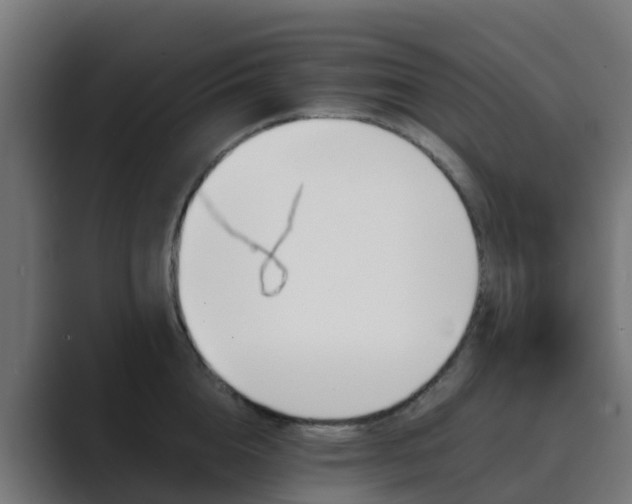 X0000089710856200706281511