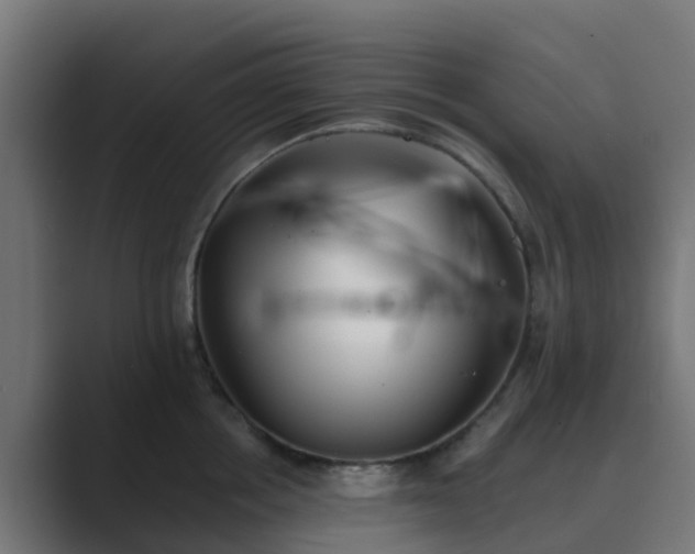 X0000089710858200706281511