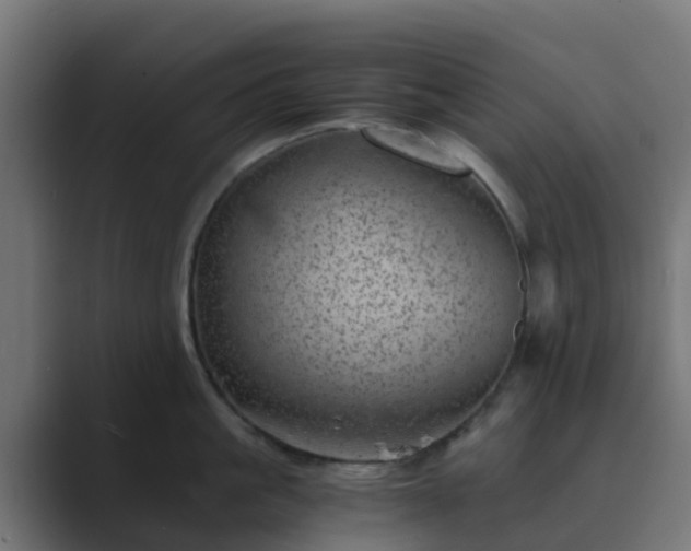 X0000089710861200706281511