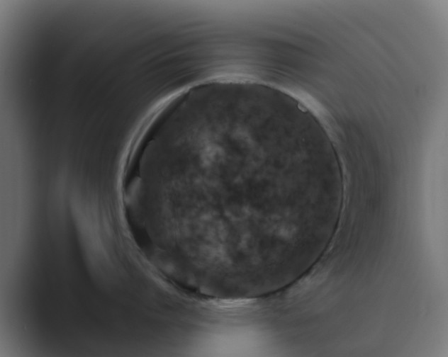 X0000089710864200706281511