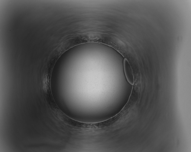 X0000089710866200706281511