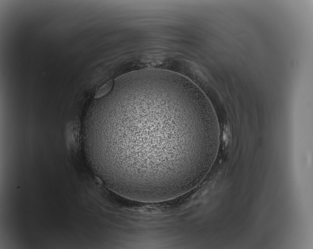 X0000089710867200706281510