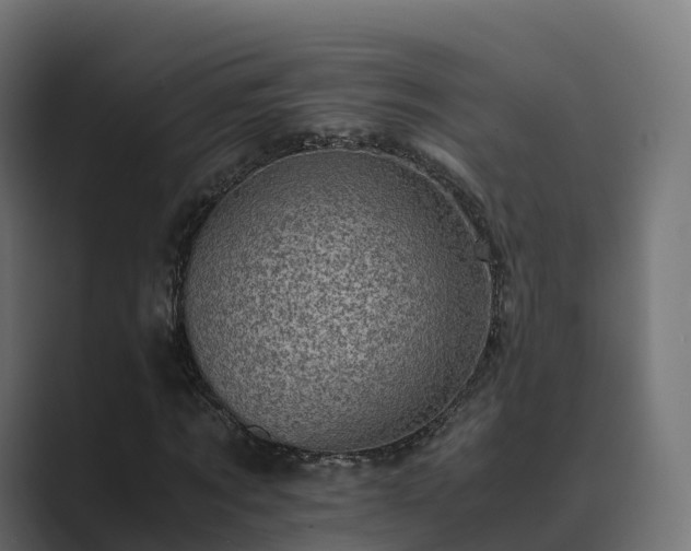 X0000089710869200706281510