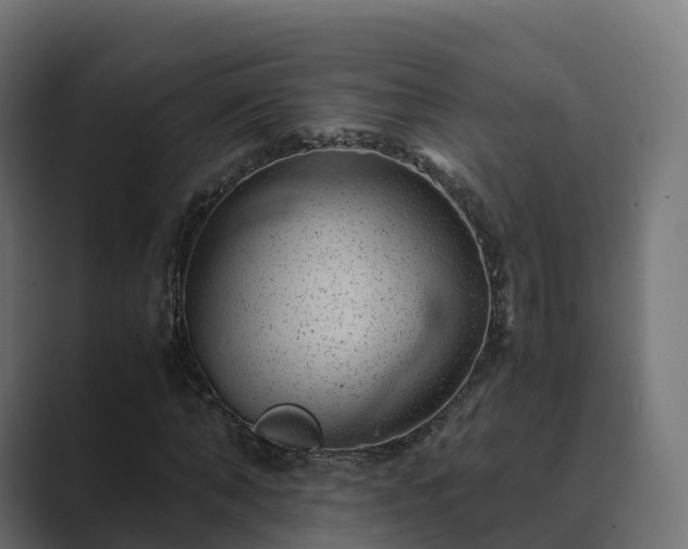 X0000089710870200706281510