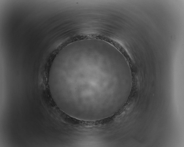 X0000089710871200706281510