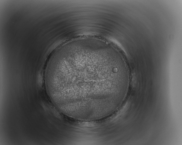 X0000089710874200706281510