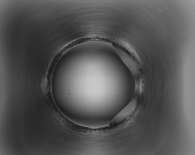 X0000089710876200706281510