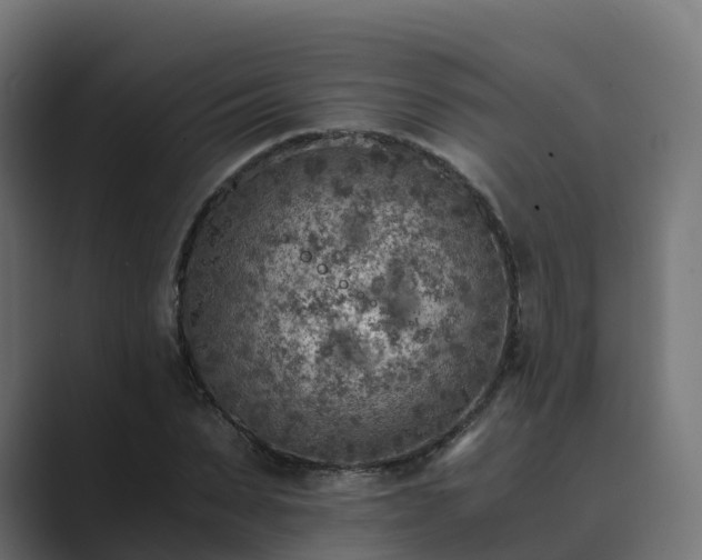 X0000089710879200706281510