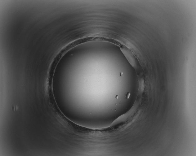 X0000089710880200706281510