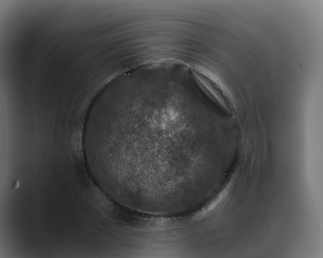 X0000089710881200706281510