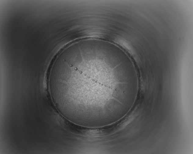 X0000089710883200706281510