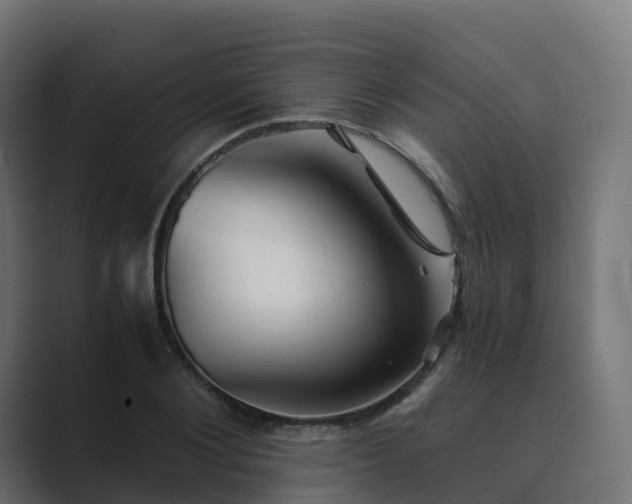 X0000089710884200706281510