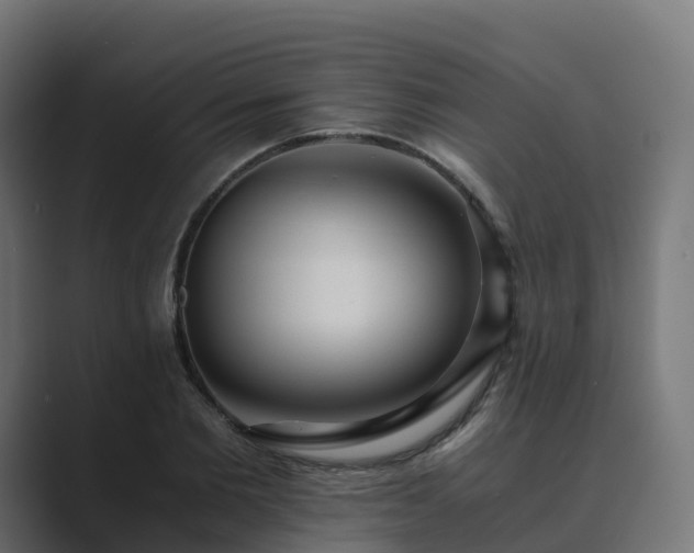 X0000089710885200706281510