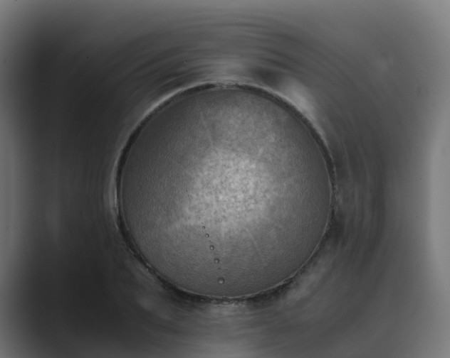 X0000089710887200706281510