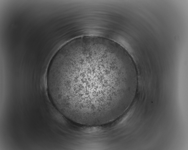 X0000089710891200706281510