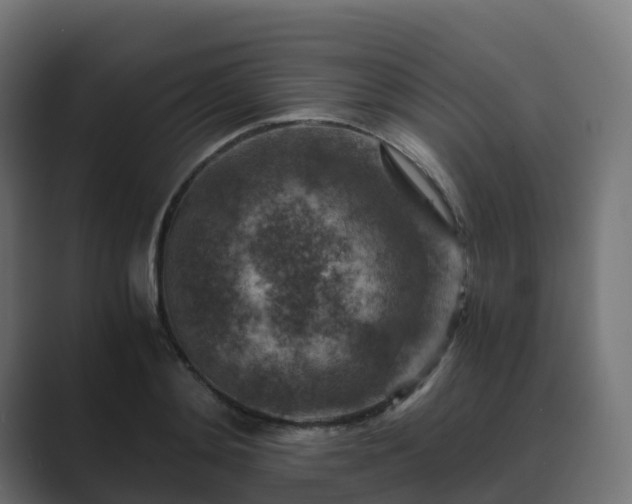 X0000089710892200706281510