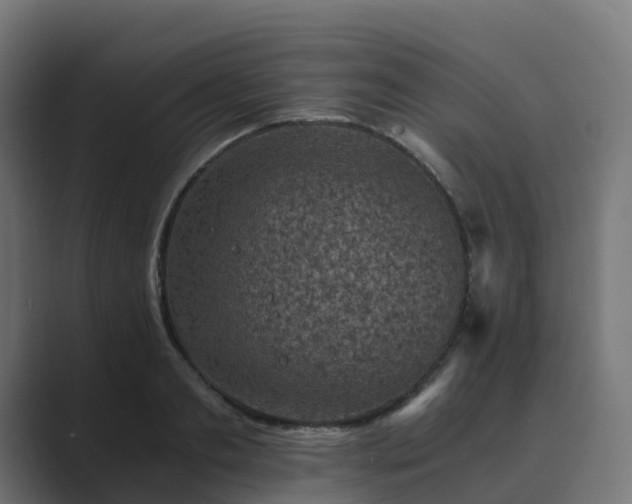 X0000089710893200706281510