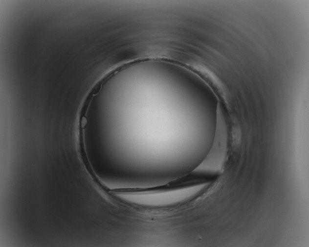 X0000089710894200706281510