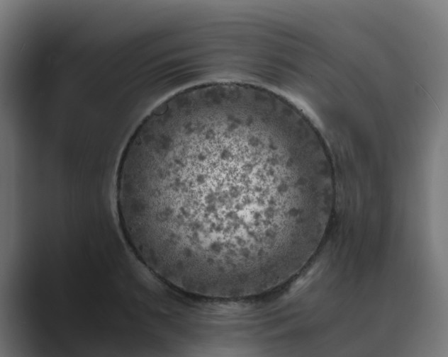 X0000089710895200706281510