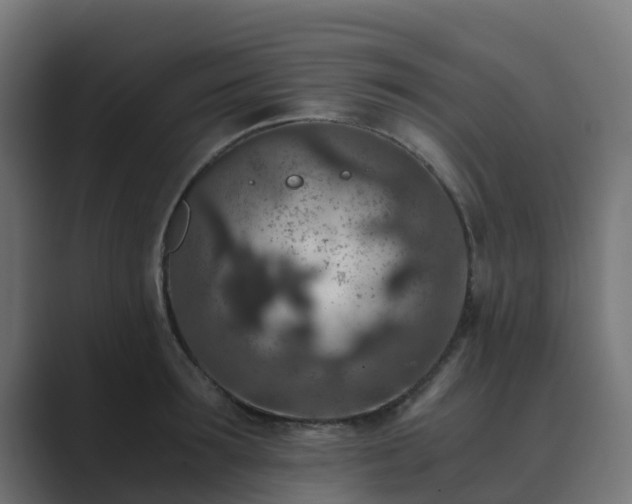 X0000089710899200706281510