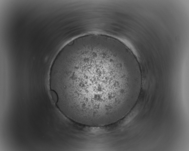 X0000089710903200706281510