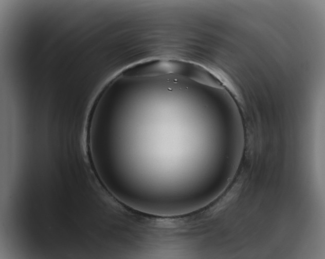 X0000089710904200706281510