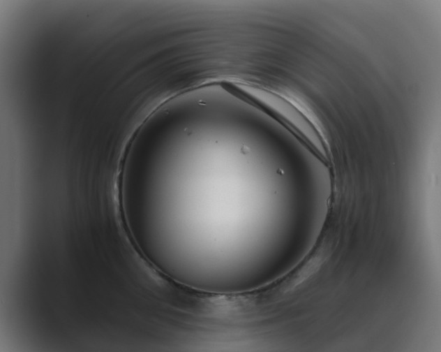 X0000089710906200706281510