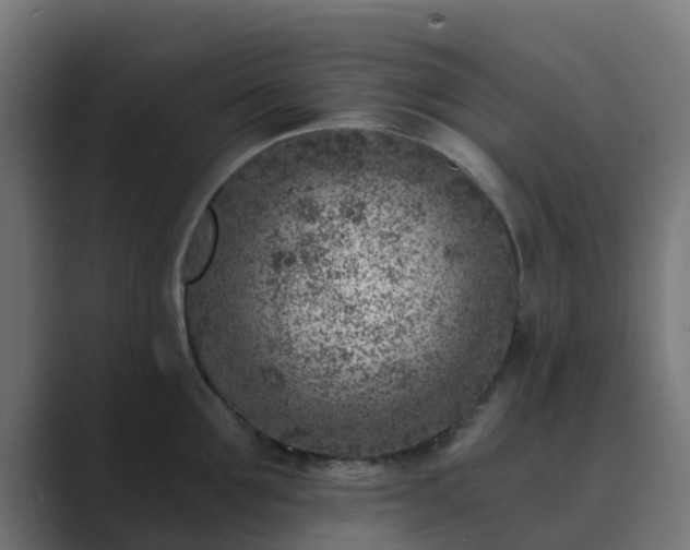 X0000089710907200706281510