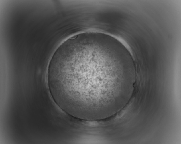 X0000089710911200706281510