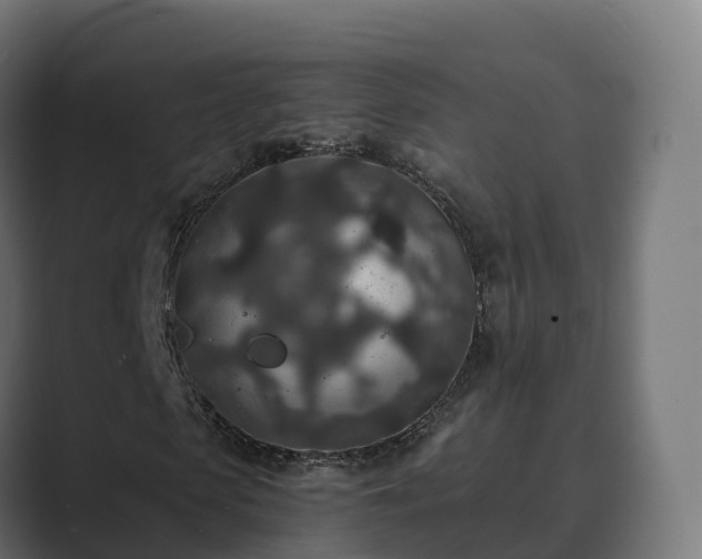 X0000089710913200706281509