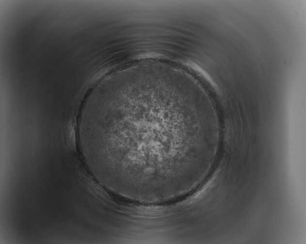 X0000089710921200706281510