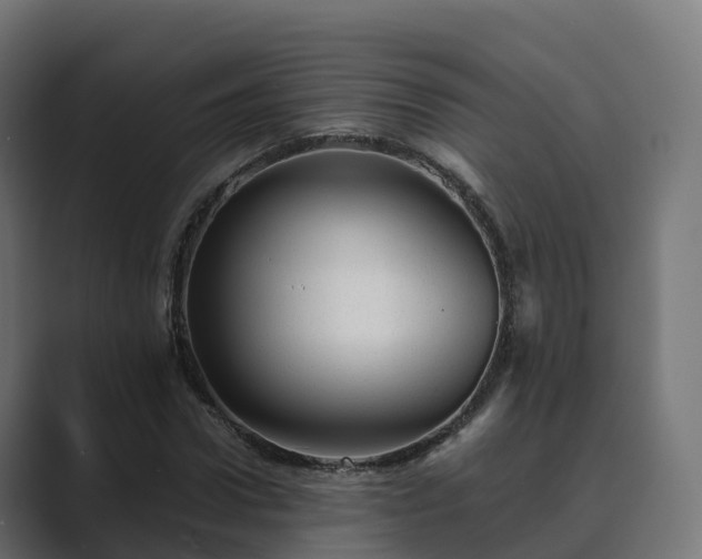 X0000089710922200706281510