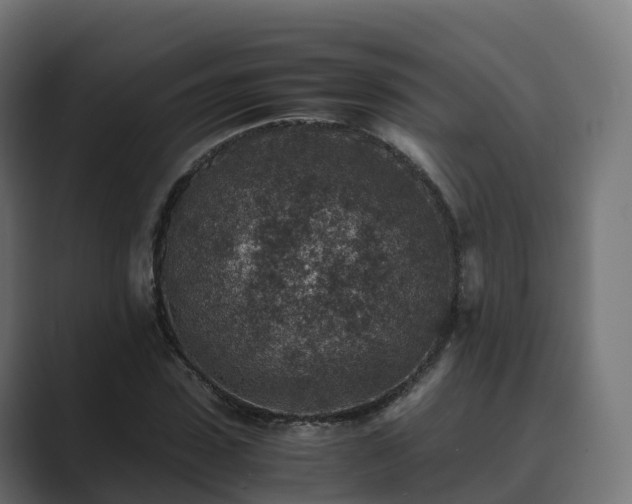 X0000089710923200706281510