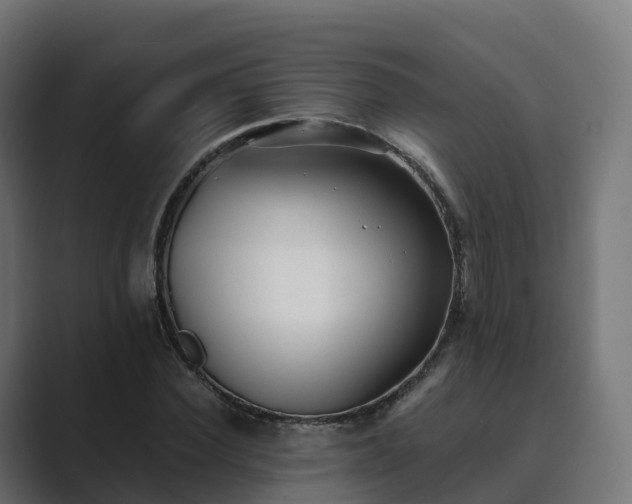 X0000089710924200706281510