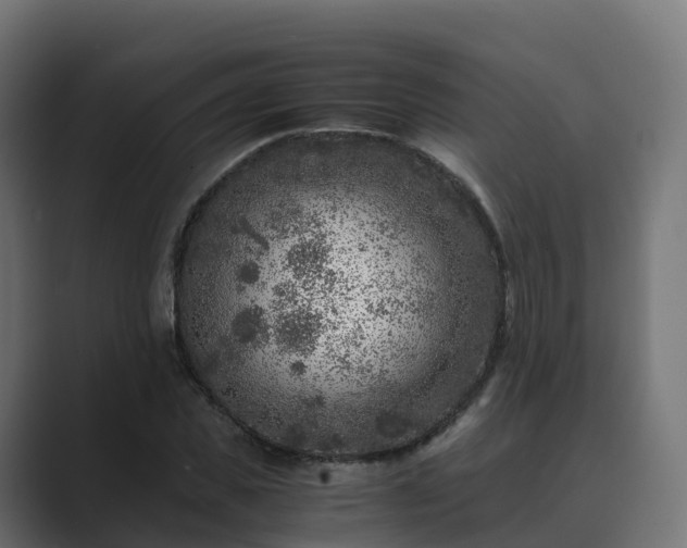 X0000089710925200706281510