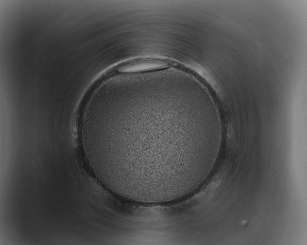 X0000089710926200706281510