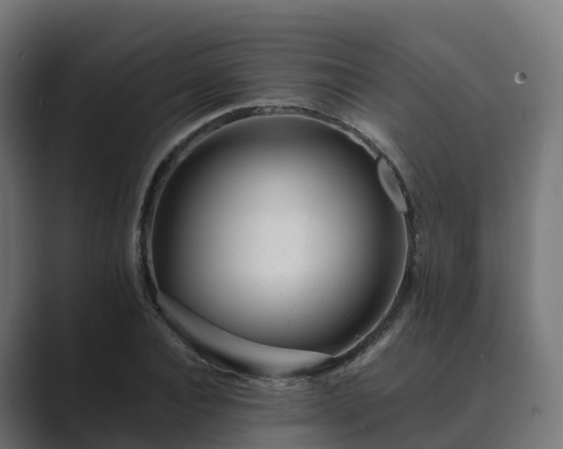 X0000089710928200706281510