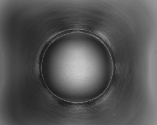 X0000089710931200706281510