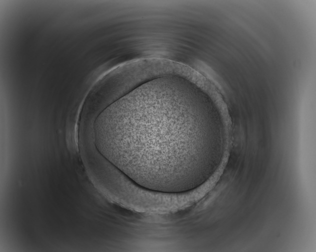 X0000089710932200706281510