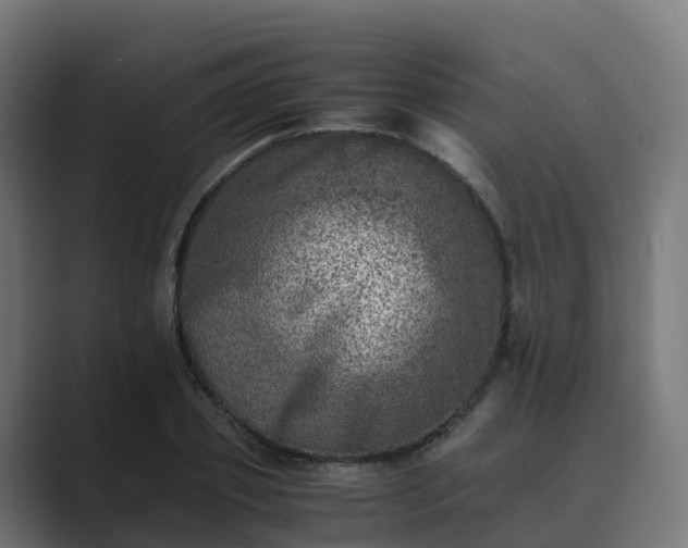 X0000089710933200706281510